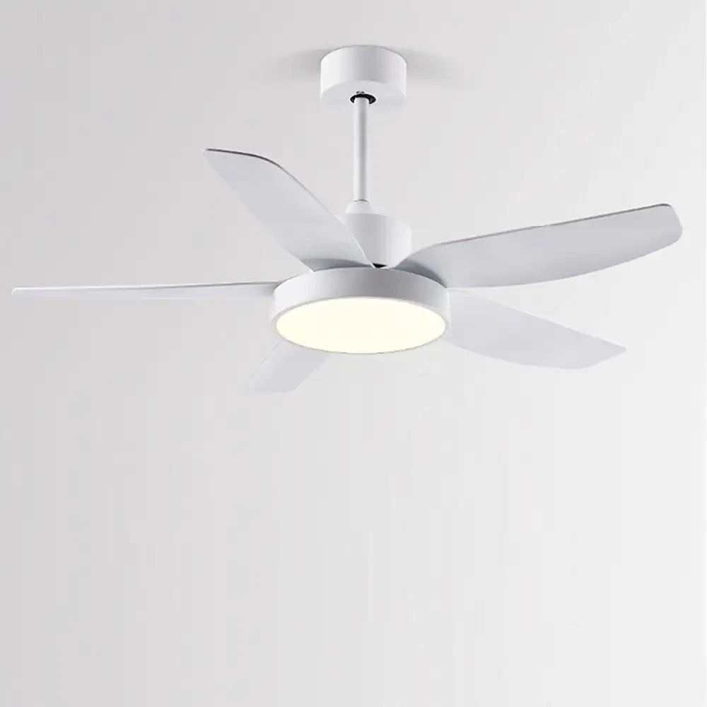 46 Inch LED Ceiling Fan with Remote and Timer - Lighting > lights Fans