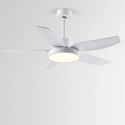 46 Inch LED Ceiling Fan with Remote and Timer - Lighting > lights Fans