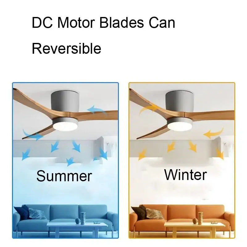 Low Floor DC Motor Ceiling Fan with Light for Living,Bedroom - Fans