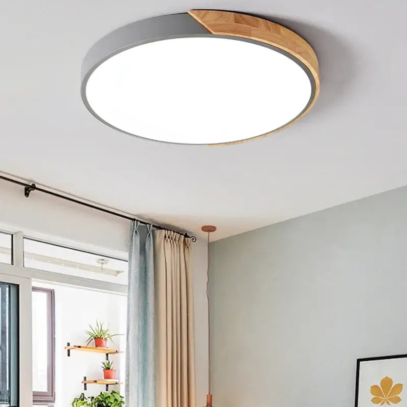 Modern Ultra-Thin LED Ceiling Light - Home & Garden > Lighting Fixtures Chandeliers